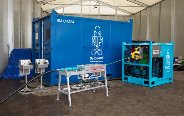 Octopoda Annulus Intervention Services